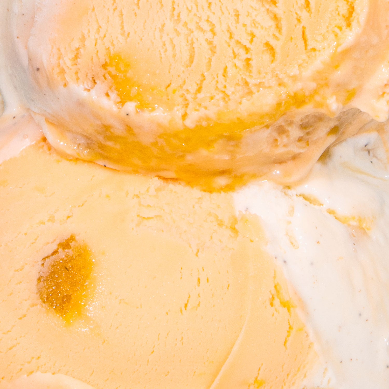 Alternative view of Burnt Orange Dreamsicle