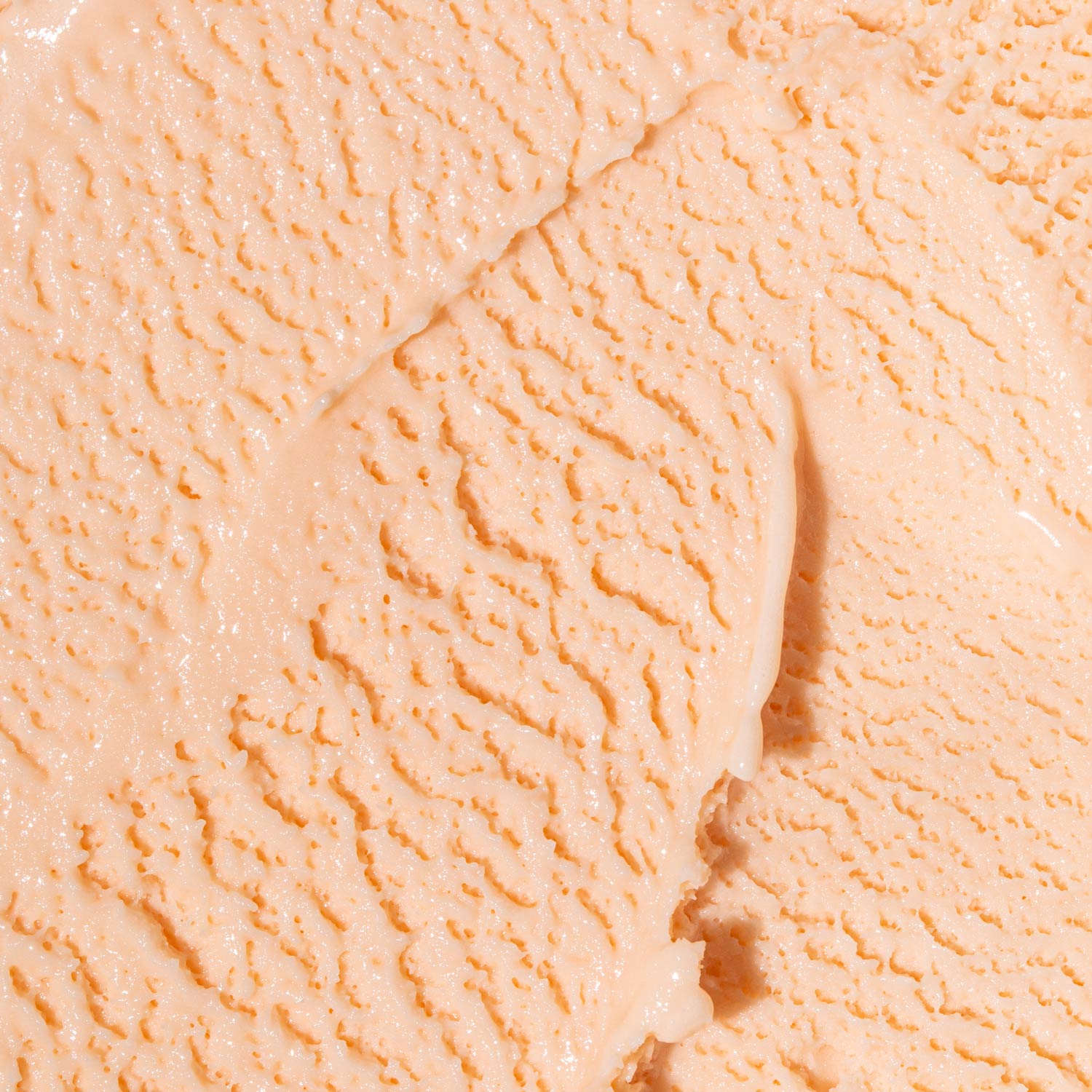 Alternative view of Tropical Bloom