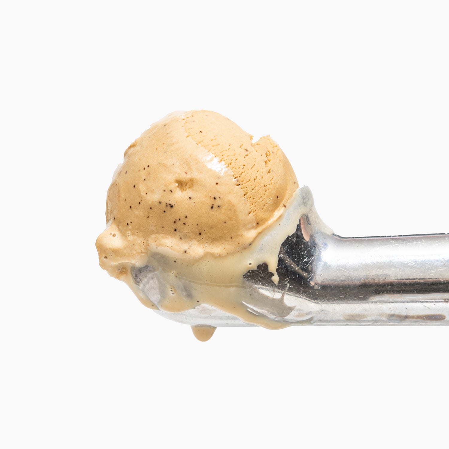 House Coffee - Image 5