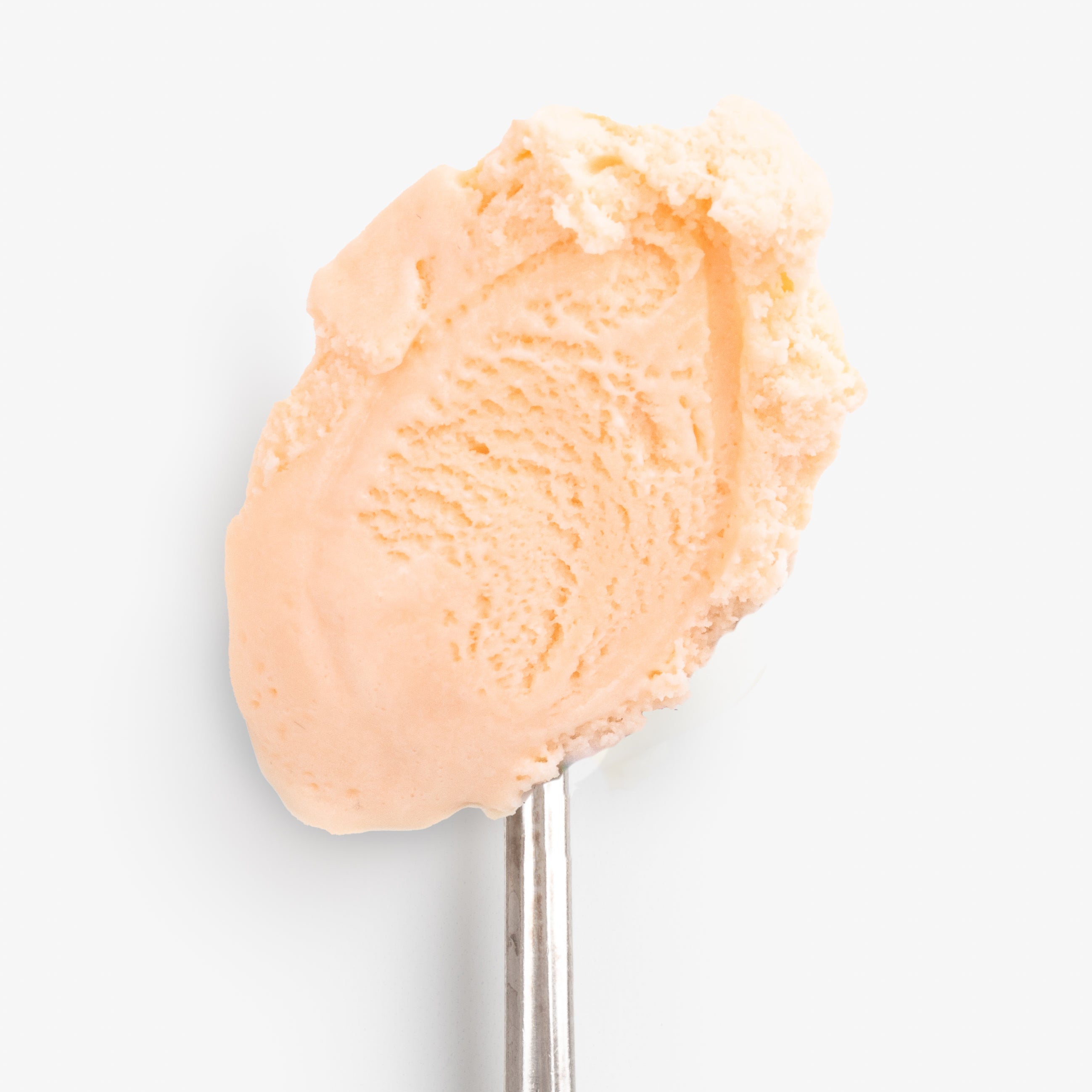 Tropical Bloom - Image 4